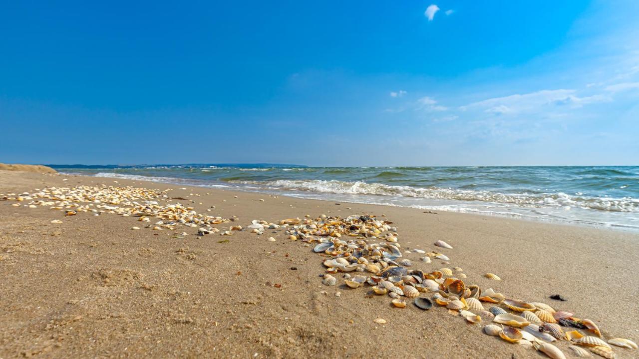 Strandurlaub Ruegen "Luett Matten" Διαμέρισμα Binz Εξωτερικό φωτογραφία